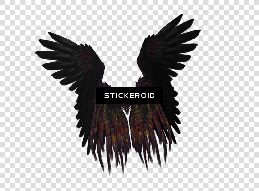 Short Black And Purple Wings   Black Angel Wings Png  Transparent PngTransparent PNG