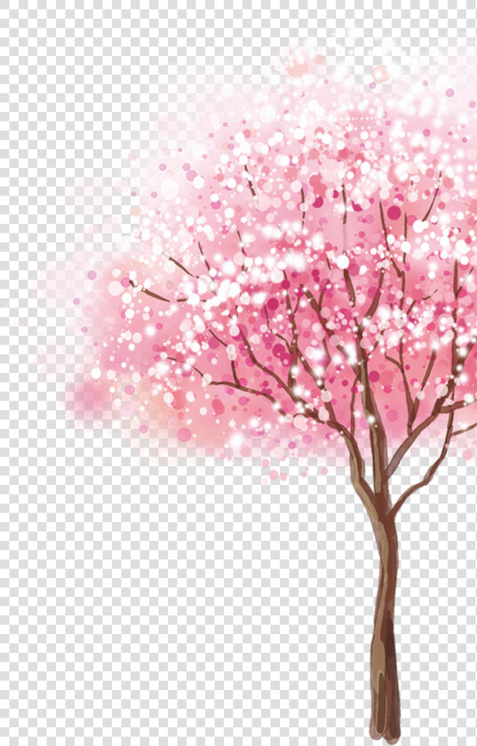  cherryblossom  tree   Cherry Blossom Tree Transparent Background  HD Png DownloadTransparent PNG