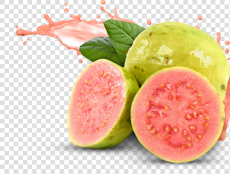 Download Guava Png Pic   Guava Png  Transparent PngTransparent PNG