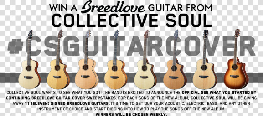 Breedlove Top   Breedlove  HD Png DownloadTransparent PNG