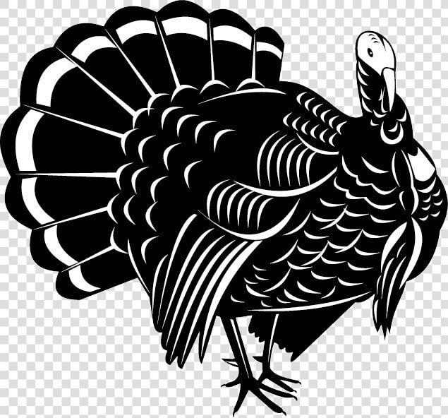 Turkey Bird Png Image With Transparent Background   Wild Turkey Vector Logo  Png DownloadTransparent PNG