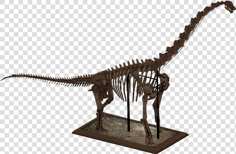 Zt2 Dinosaur Skeletons   Png Download   Brachiosaurus Skeleton Png  Transparent PngTransparent PNG