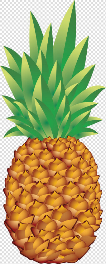 Pineapple Png Vector Clipart Image Pineapple Clipart   Pineapple Png  Transparent PngTransparent PNG