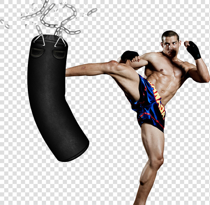 Thumb Image   Muay Thai Wall Punching Target  HD Png DownloadTransparent PNG