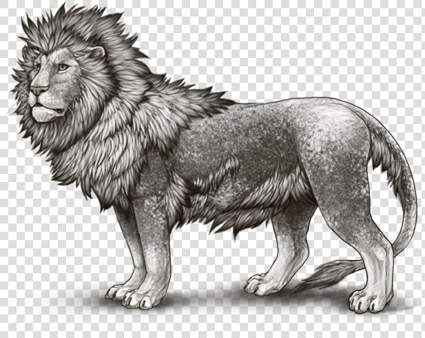 Leopon  HD Png DownloadTransparent PNG