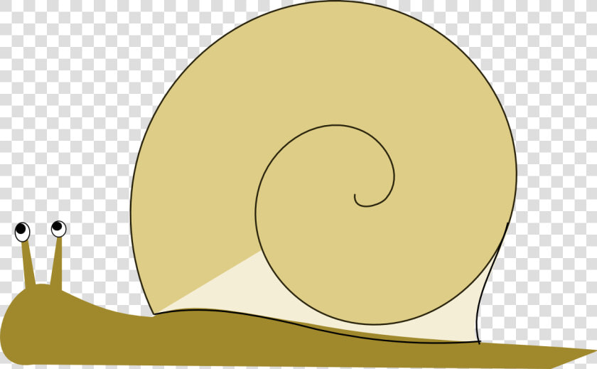 Snail Png Image Clipart   Snail Clipart Transparent Background  Png DownloadTransparent PNG