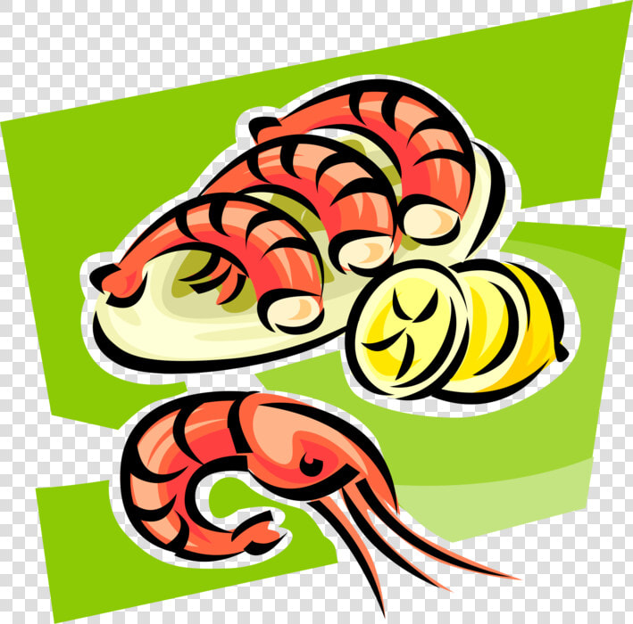 Vector Illustration Of Decapod Marine Crustacean Prawn  HD Png DownloadTransparent PNG