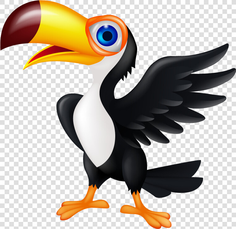 Free Download Beak Clipart Toucan Beak Hornbill   Cartoon Toucan No Background  HD Png DownloadTransparent PNG