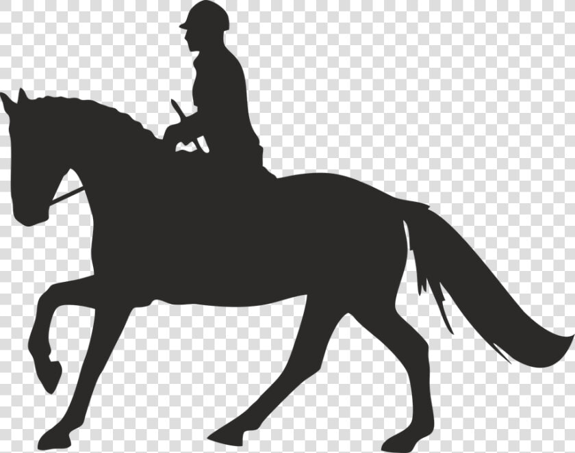 Galloping Horse And Rider Silhouette  HD Png DownloadTransparent PNG