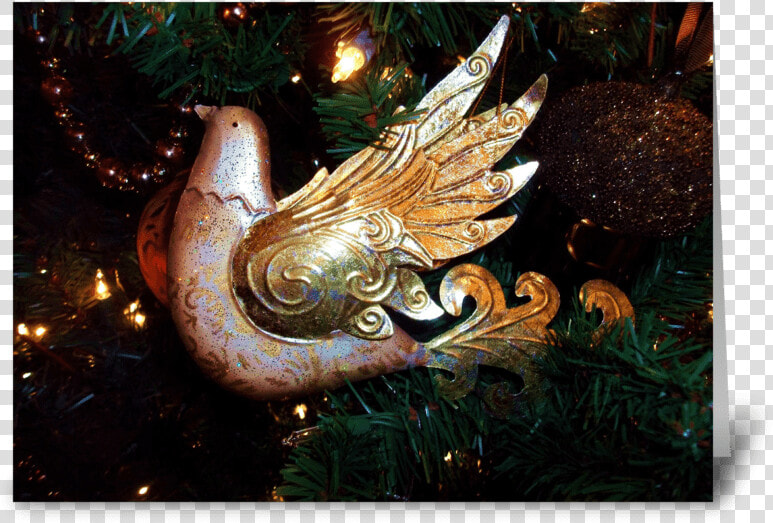 Peace Dove Greeting Card   Dragon  HD Png DownloadTransparent PNG