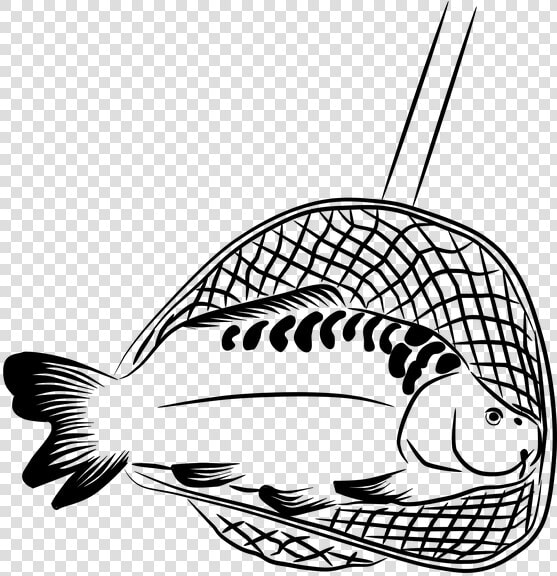 Landing Net Keser Carp Fish Fisherman Harvesting   Fish Net Clipart Black And White  HD Png DownloadTransparent PNG