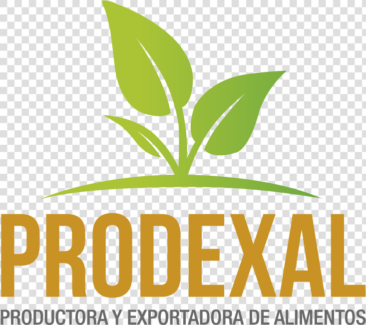 Prodexal   Exportadora De Alimentos Logo  HD Png DownloadTransparent PNG