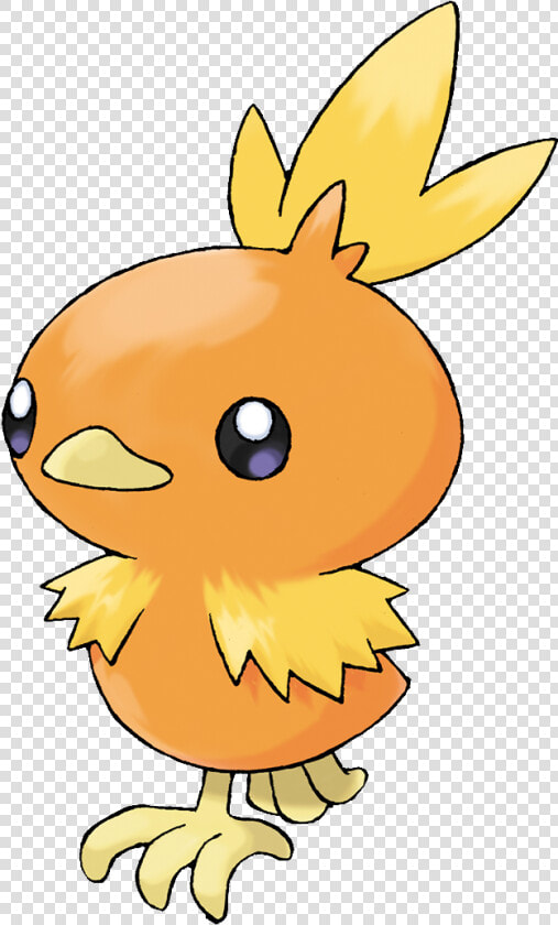 600px 255torchic   Pokemon Torchic  HD Png DownloadTransparent PNG