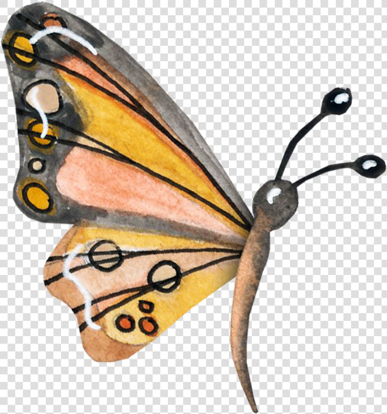 Clip Art Butterfly Nymphalidae Danaus   Monarch Butterfly  HD Png DownloadTransparent PNG