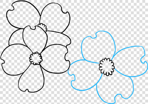 How To Draw Dogwood Flowers   Line Art  HD Png DownloadTransparent PNG