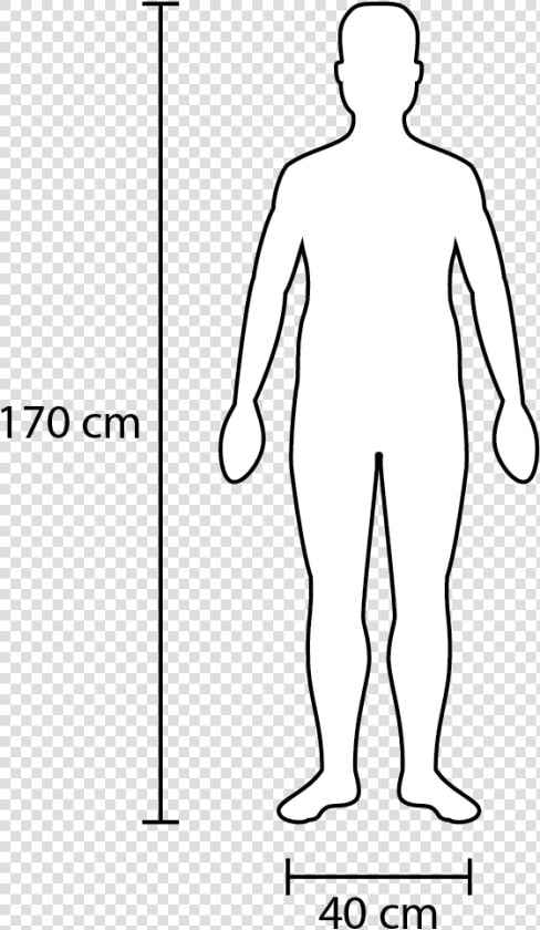 Width And Height Of A Fairly Average Adult   Person In Scale  HD Png DownloadTransparent PNG