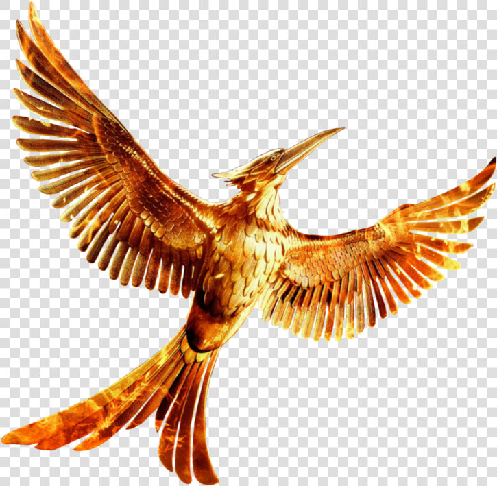 The Hunger Games Mockingjay Part   Hunger Games Mockingjay Part 2 Logo  HD Png DownloadTransparent PNG