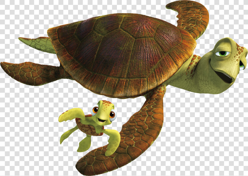 Finding Nemo Png   Finding Nemo Turtle Png  Transparent PngTransparent PNG