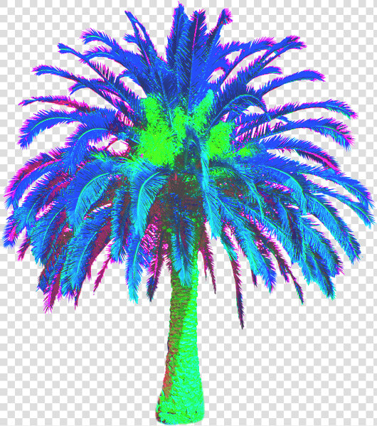 Transparent Vaporwave Palm Tree Png   Date Palm Tree Png  Png DownloadTransparent PNG