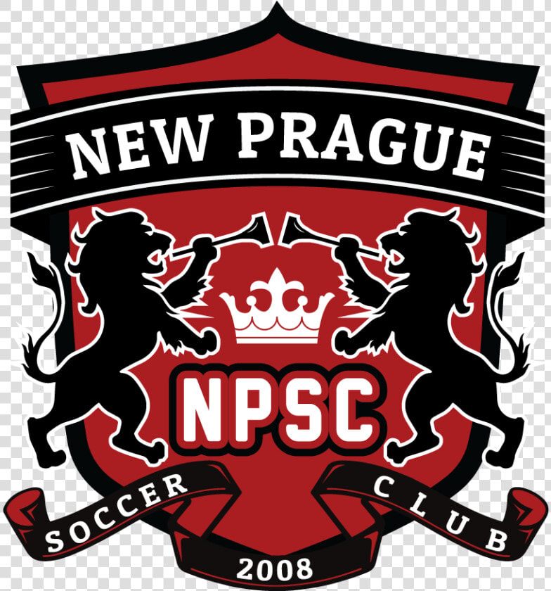 Npsc Logo 2019 3   Fragile This Side Up  HD Png DownloadTransparent PNG