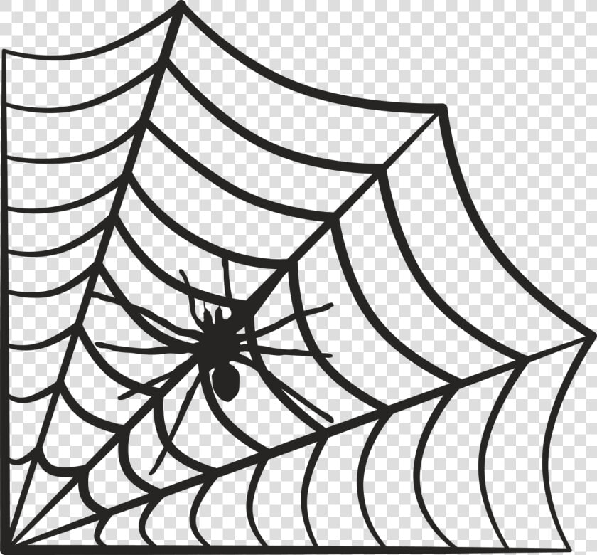 Spider Web   Spider Web Svg  HD Png DownloadTransparent PNG