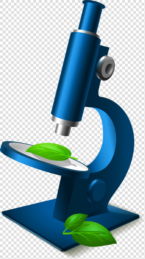 Kisspng Microscope Euclidean Vector Clip Art 5a6934bf513381   Microscope Png Clipart  Transparent PngTransparent PNG