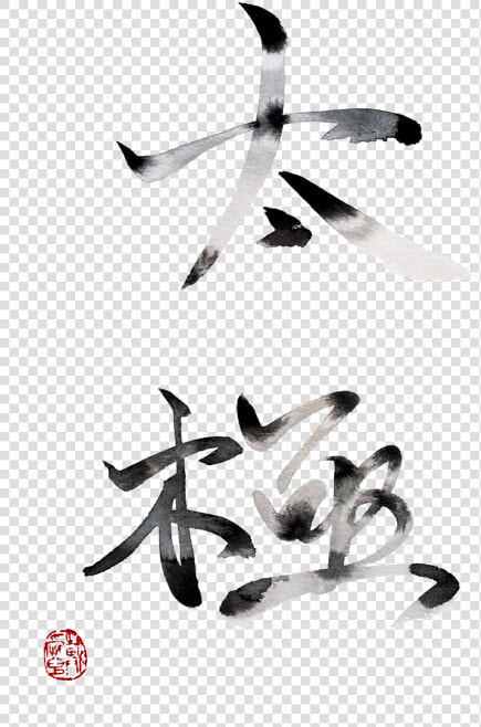 Tai Chi  HD Png DownloadTransparent PNG