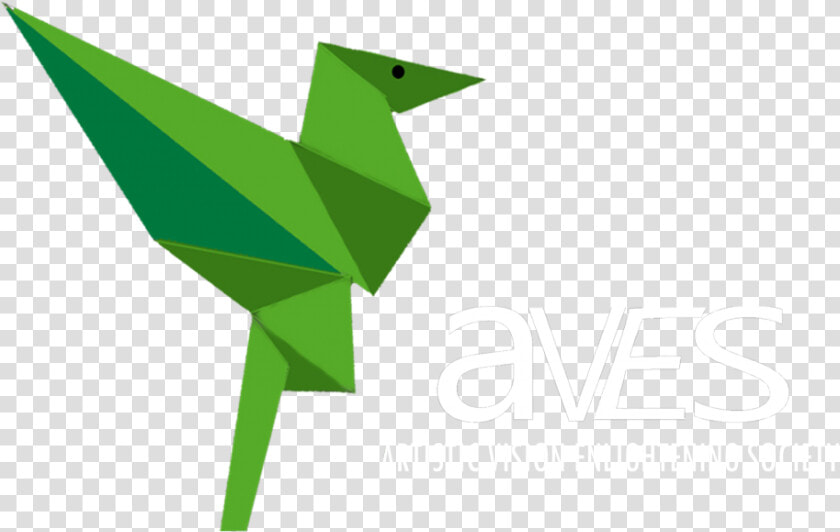 Aves School Of Arts Private Limited   Origami  HD Png DownloadTransparent PNG