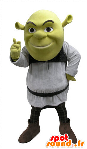 Shrek Mascot  Famous Green Ogre Cartoon   Memy Ojciec Ze Specjalnym Zadaniem  HD Png DownloadTransparent PNG