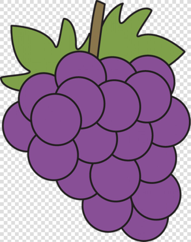 Transparent Grapes Vector Png   Clipart Of Grapes  Png DownloadTransparent PNG