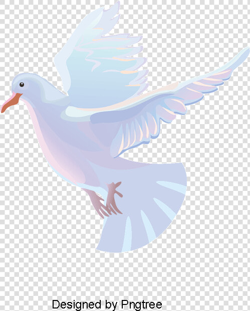 Transparent Paloma Clipart   White Dove Vector Png  Png DownloadTransparent PNG