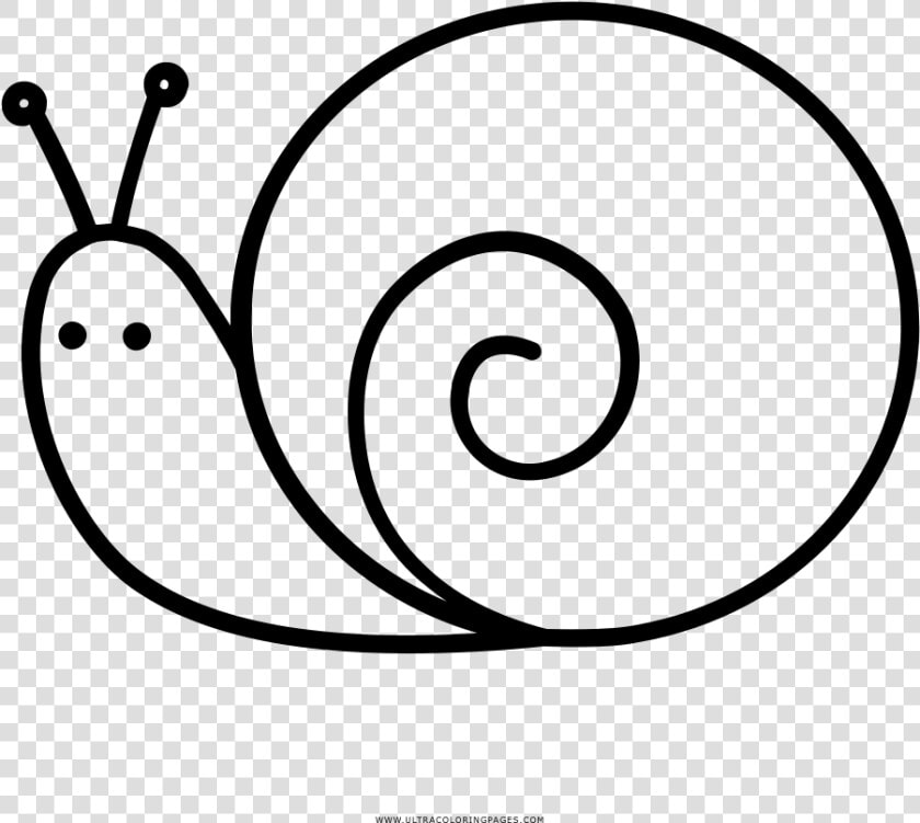 Caracol Página Para Colorear   Clipart Black And White Images Of Snail  HD Png DownloadTransparent PNG