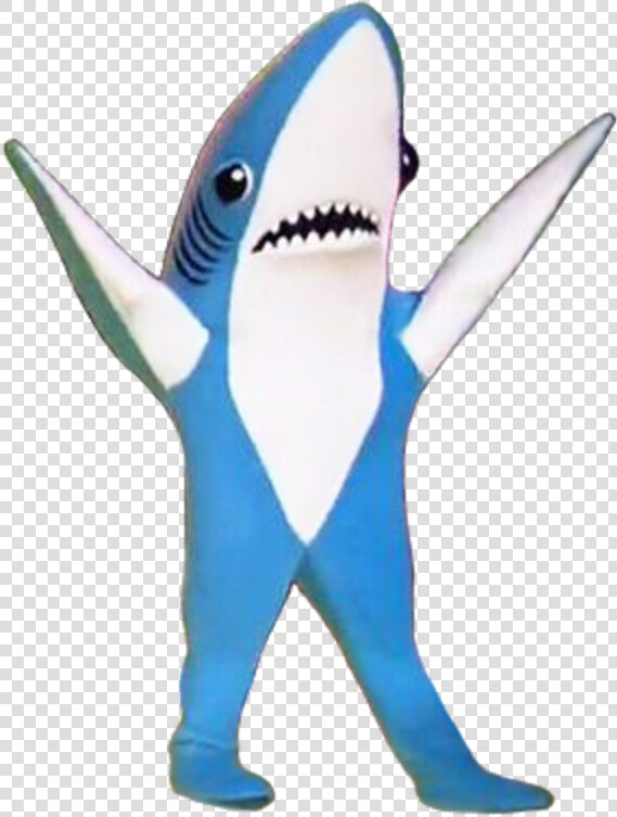 Super Bowl Xlix Super Bowl Li Halftime Show Shark Fish   Shark Super Bowl Png  Transparent PngTransparent PNG