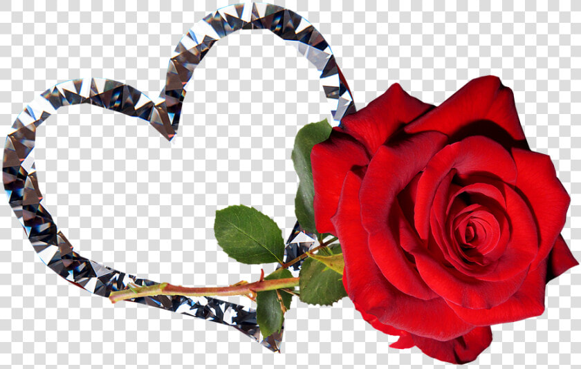 Rose  Red  Flower  Valentine  Romantic   Good Night Tamil Heart  HD Png DownloadTransparent PNG