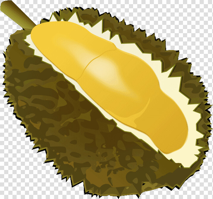 Fruits Transparent Durian   Transparent Background Durian Icon  HD Png DownloadTransparent PNG