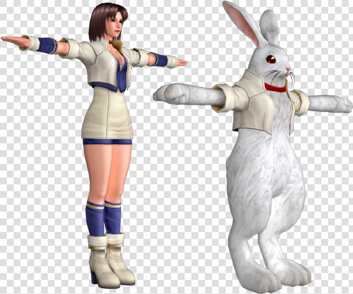 Download Zip Archive   Bloody Roar 4 Alice The Rabbit  HD Png DownloadTransparent PNG