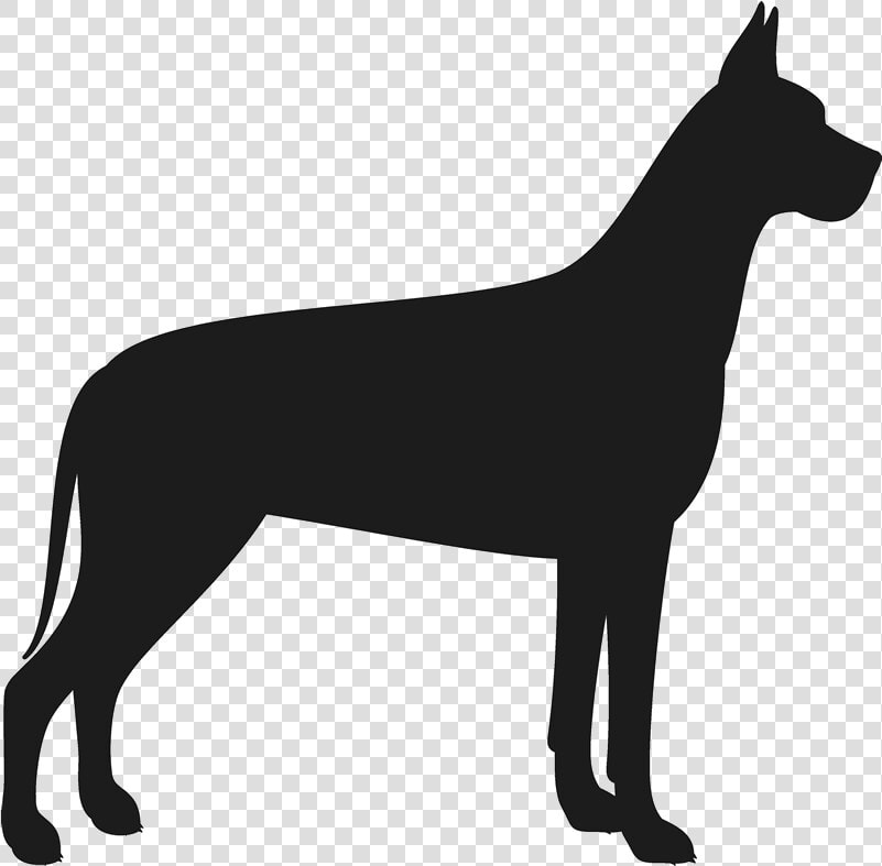 Llama Silhouette Clip Art   Great Dane Silhouette Transparent  HD Png DownloadTransparent PNG