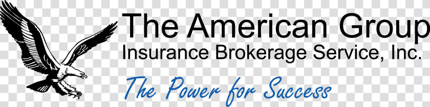 American Group Insurance Brokerage Service   Calligraphy  HD Png DownloadTransparent PNG