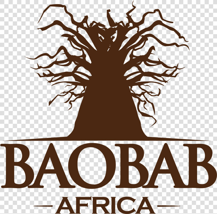 Baobab Africa   Tree  HD Png DownloadTransparent PNG