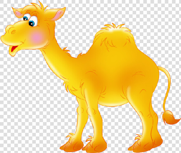 Funny Camel Pictures Clipart   Верблюд На Прозрачном Фоне  HD Png DownloadTransparent PNG