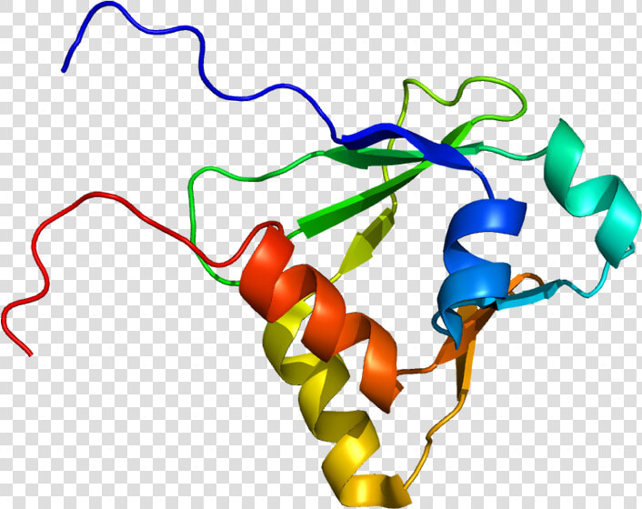 Protein Iqgap1 Pdb 1x0h  HD Png DownloadTransparent PNG