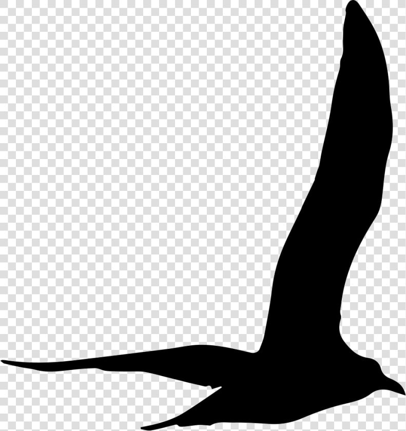 Gull Bird Flying Shape   Gaviota Silueta Png  Transparent PngTransparent PNG