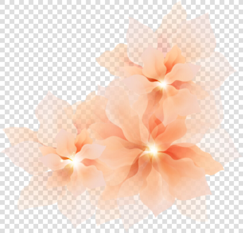  ftestickers  flowers  hibiscus  border  corner  transparent   Transparent Pretty Border Corner  HD Png DownloadTransparent PNG