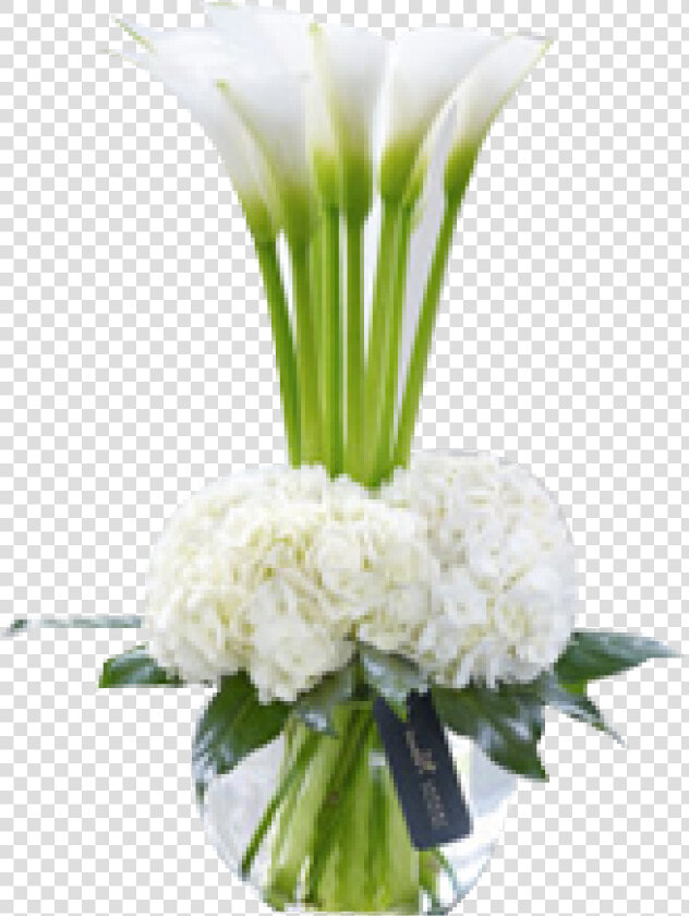 Lily Transparent Vase Png White Calla Lily Arrangements   Calla Lily And Hydrangea  Png DownloadTransparent PNG