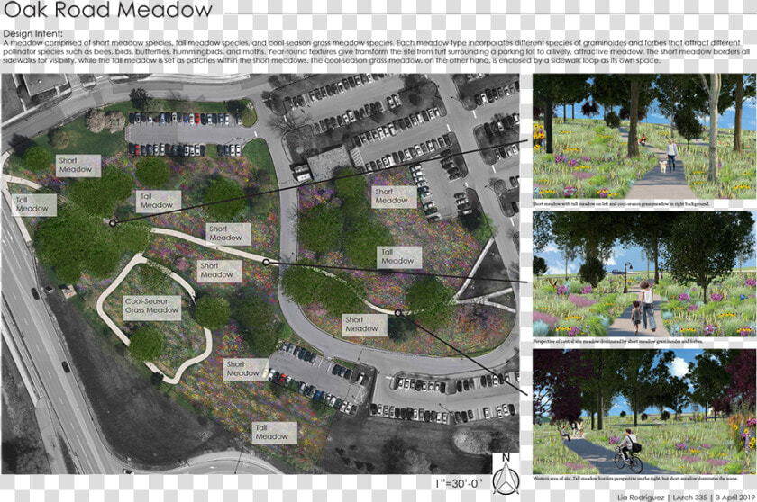 A Student’s Illustration Of The Oak Road Meadow Project   Landscape Architecture Project Show  HD Png DownloadTransparent PNG