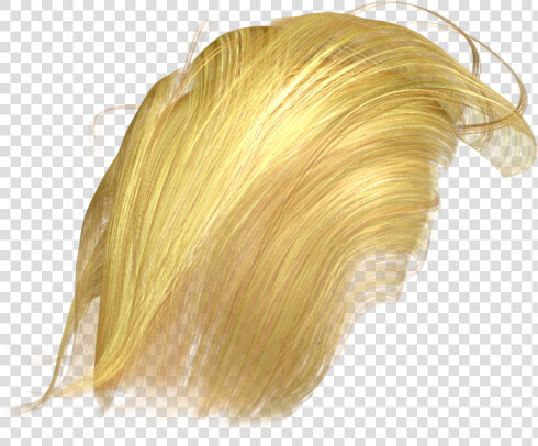 Donald Trump Hair Png   Trump Hair Transparent  Png DownloadTransparent PNG