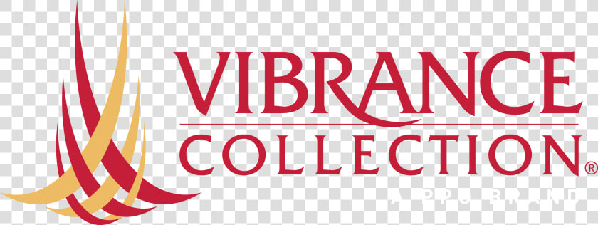 Vibrance Collection Logo  HD Png DownloadTransparent PNG