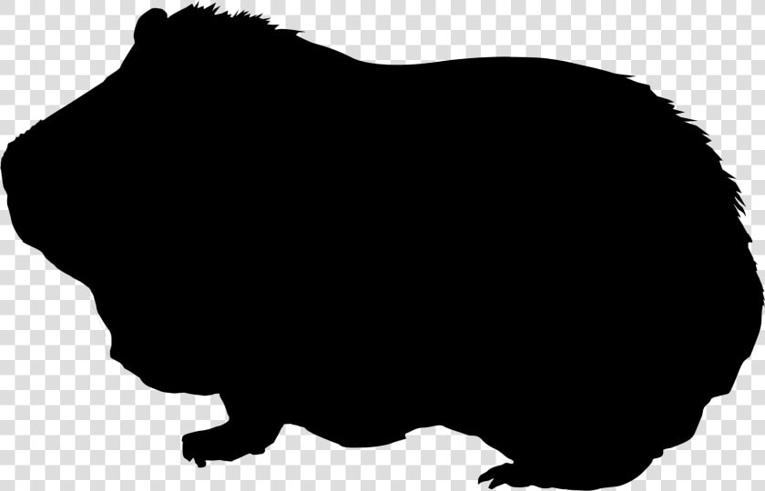 Guinea Pig Silhouette   Guinea Pig Silhouette Clipart  HD Png DownloadTransparent PNG