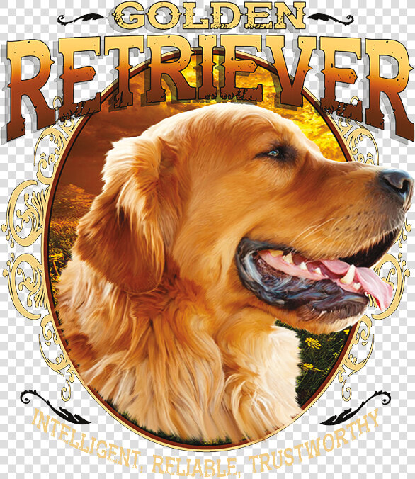 Transparent Golden Retriever Png   Golden Retriever Dog Hd Mobile  Png DownloadTransparent PNG