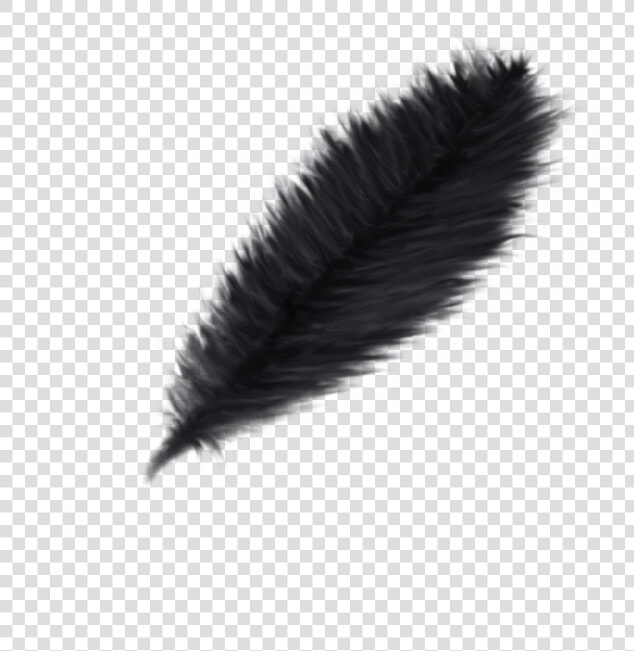 Thumb Image   Logo Pluma Negra Png  Transparent PngTransparent PNG